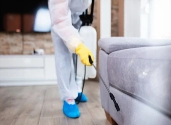 How Much Does Pest Control Cost in Surrey?