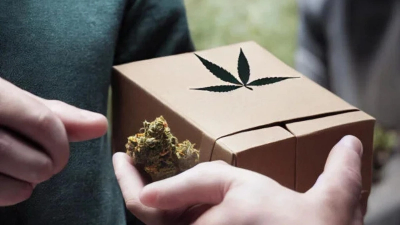 Can You Trust Weed Delivery in Toronto for Reliable Service?