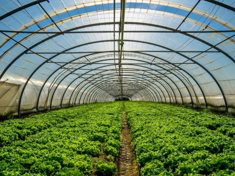 North America Indoor Farming Market Outlook, 2027 Is Anticipated To Grow At A CAGR Of More Than 12.87% In Value Terms In The Forecast Period.