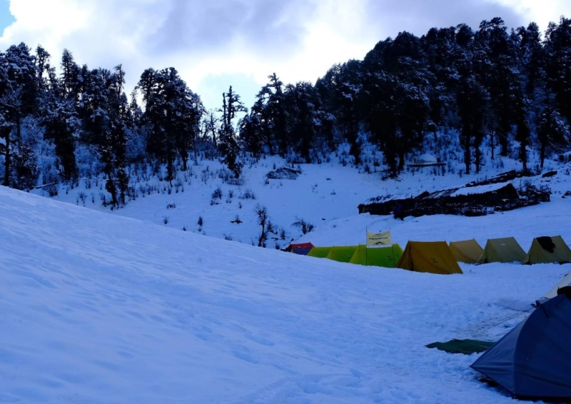 Dayara Bugyal Winter Trek 2026: Snow Meadows & Scenic Trails
