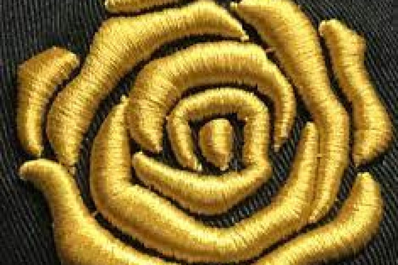 What is Difference of Logo Digitizing and Graphic design