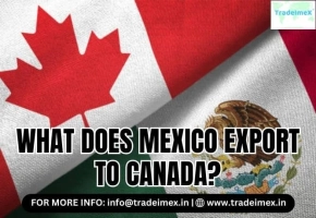 WHAT DOES MEXICO EXPORT TO CANADA?