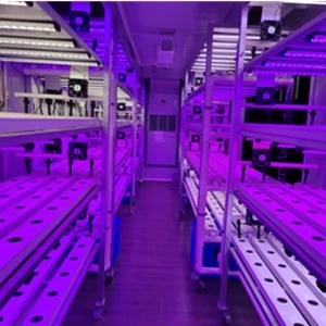 Why Choose LED Plant Grow Lights for Plant Growth