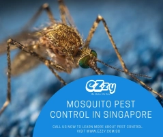 Mosquito Prevention | Singapore - Ezzy