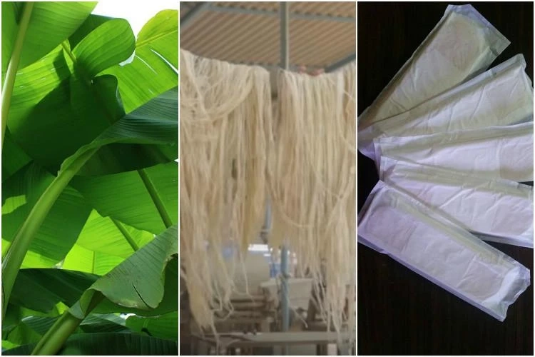 Biodegradable Sanitary Napkins Market Size, Top Manufacturers, Industry Insights and Forecast 2023-2028