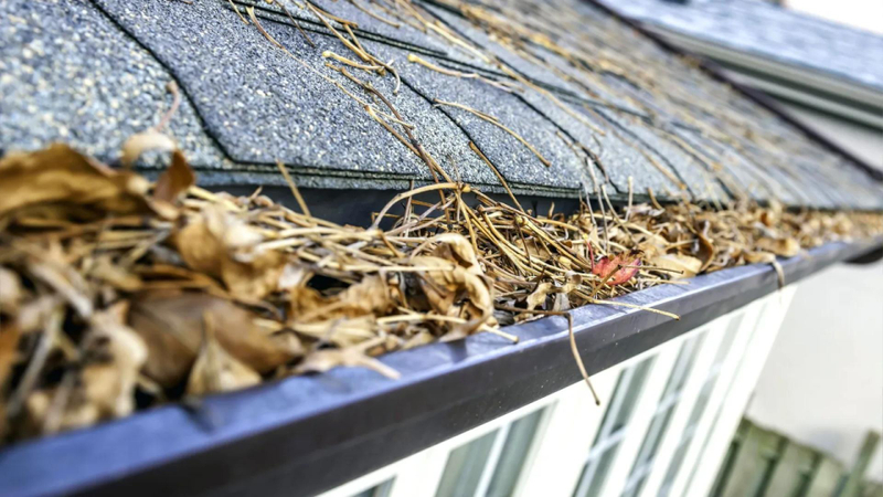 Top Signs You Need Gutter Repair and How Gutter Guards Can Prevent Future Damage
