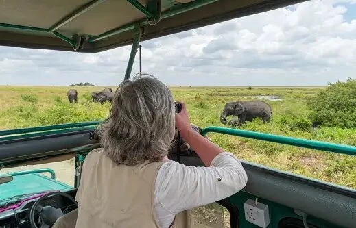 How To Prepare For A Wildlife Photography Tour