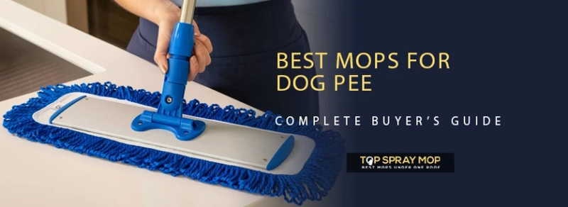 Top 5 Mops for Cleaning Up Dog Urine