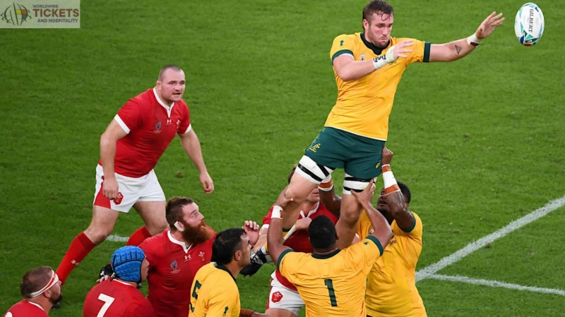 Wales vs Australia: Three Lions greats that able Wales newcomer wants to be a hybrid version