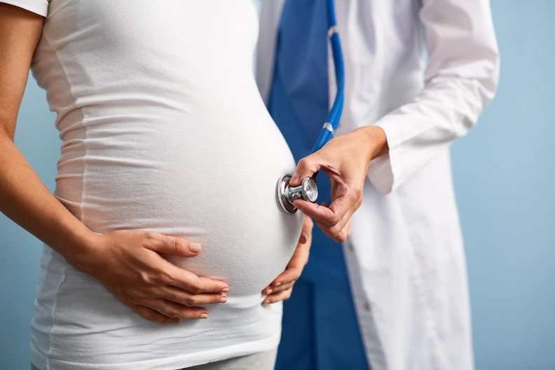 Factors Included In A Surrogate Agency Procedure For Egg Donations