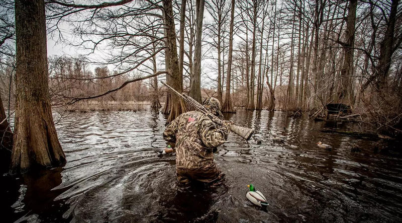 Maximizing Your Success: 5 Tips for a Thriving Dove Hunting Season in Arkansas