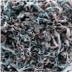 Oncology or Cancer