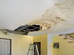 Water Seepage Control in Naperville Illinois: How to Keep Your Home Safe and Dry