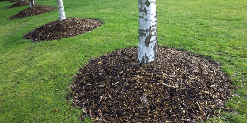 5 advantages of mulching plants