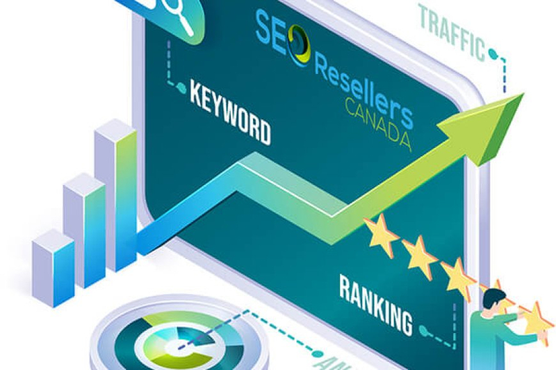 How Backlinks Make You an Industry Leader