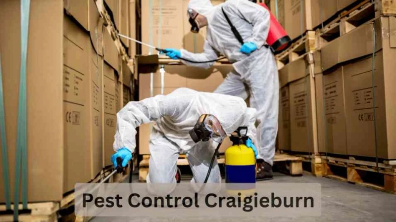 5 Easy Ways To Pest Control From Your Home