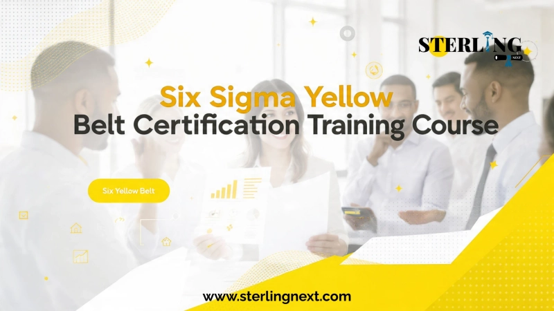Understanding Six Sigma Yellow Belt Certification Guide