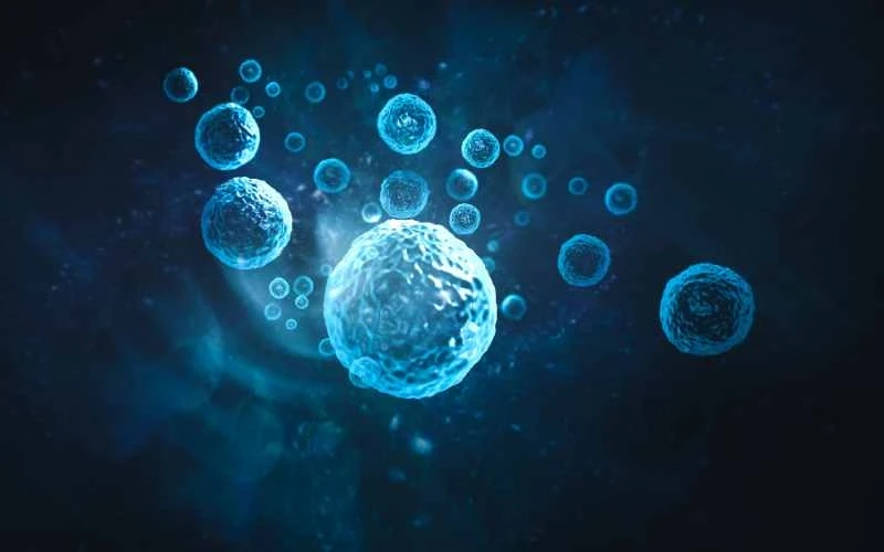 Beyond Repair? Not At Eterna Health: Where Cutting-Edge Stem Cell Therapy Redefines Regeneration