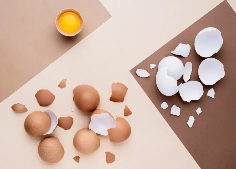 amylase enzyme in poultry feed