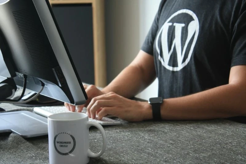 What Questions Should You Ask When Hiring WordPress Developers?