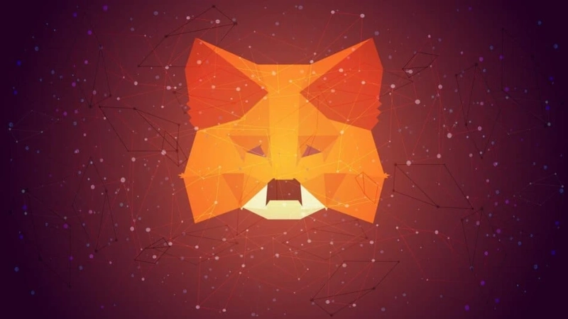 A Comprehensive Guide to Successfully Launching a Metamask Clone in 2023