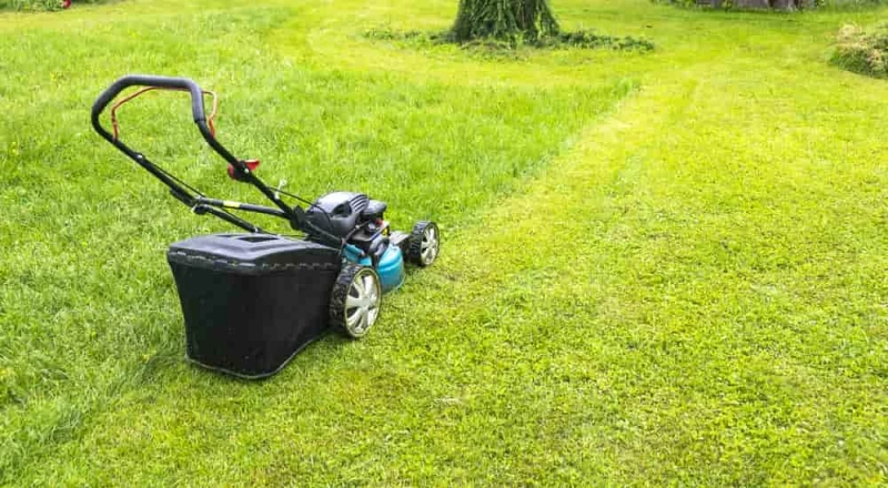 What Is the Best Lawn Mower for a Small Lawn?