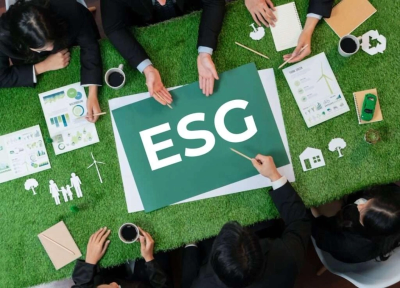 The Role of ESG Consultancy in Driving Sustainable Business Practices