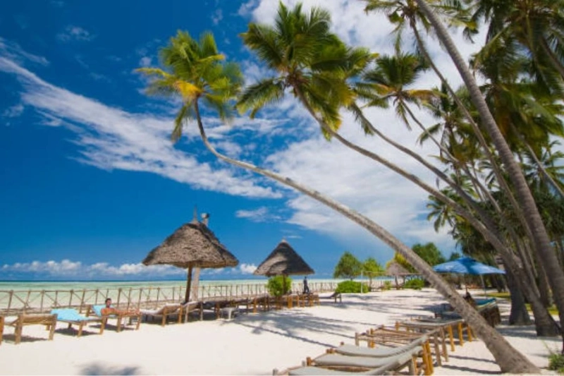 The Top 10 Amazing Things to Do in Zanzibar