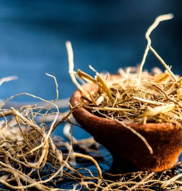 Embrace the Benefits and Uses of Eco-Friendly Vetiver Roots in Today’s Life | Vetiver Roots | Tamrata