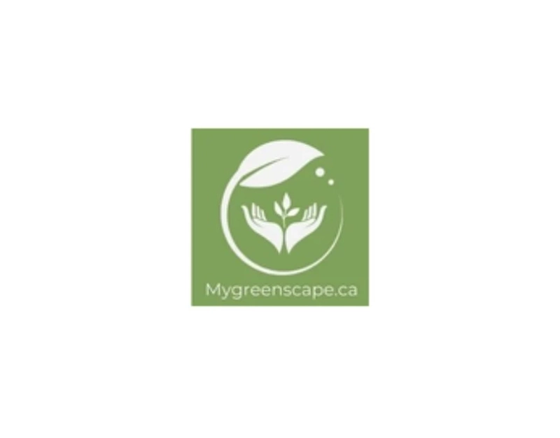 Low Maintenance and Easy-to-Grow Indoor Plants
