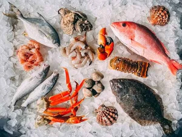 Why Seafood is the Ultimate Superfood for a Healthy Life