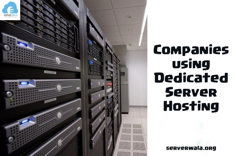 Choosing the Right Web Hosting: A Comprehensive Guide