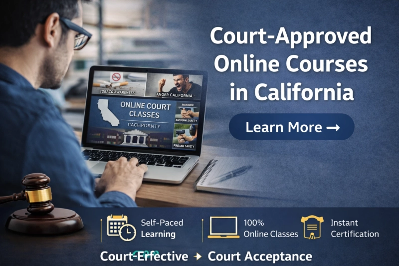 Court-Approved Online Courses in California: A Convenient Path to Compliance and Personal Growth
