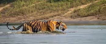 SUNDARBAN TOUR PACKAGE