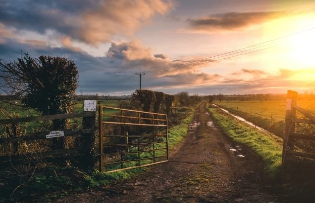 TYPES OF FARM GATES YOU CAN GO FOR