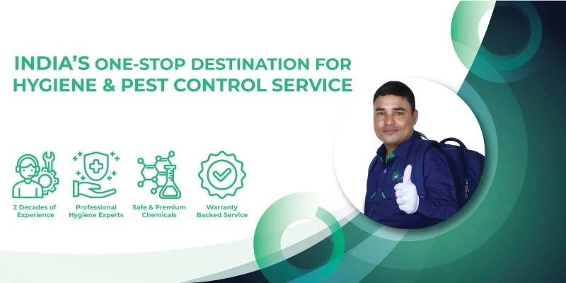 The Benefits of Pest Control Services