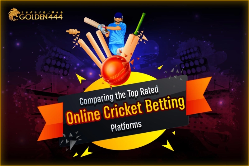 Comparing the Top Rated Online Cricket Betting Platforms