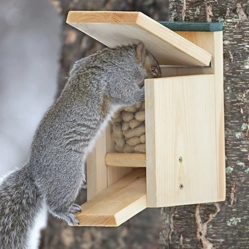 Bee Beautiful Handmade Squirrel Feeder box