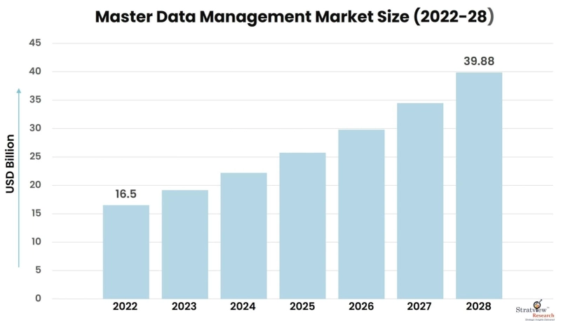 Data Harmony: Exploring the Dynamics of Master Data Management