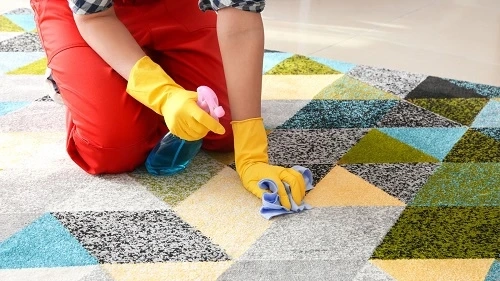 Hurst Homeowners: Extend Your Carpet Life with Professional Cleaning