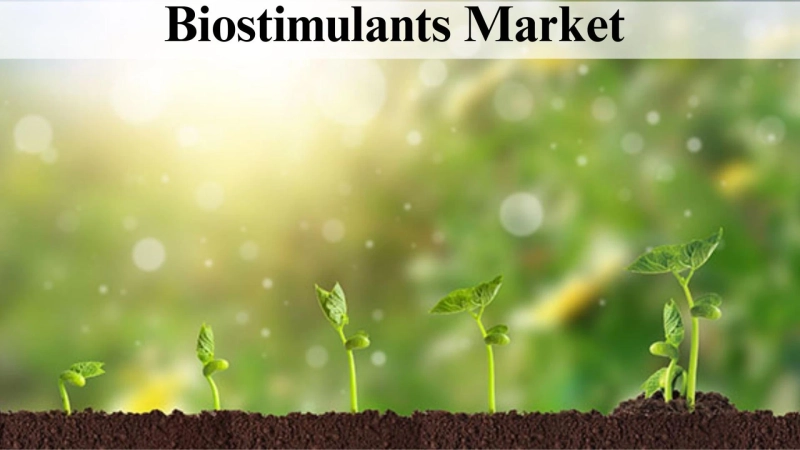 Biostimulants Market Size, Growth Insights and Forecast to 2032