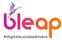 SEO Services in Bangalore – Bleapdigital