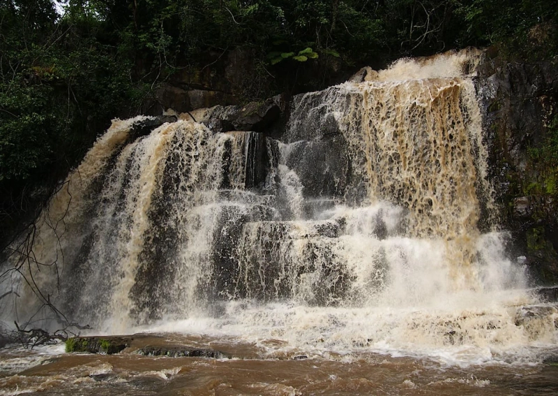 Discovering the Wonders of Burundi on Safari Day Trips