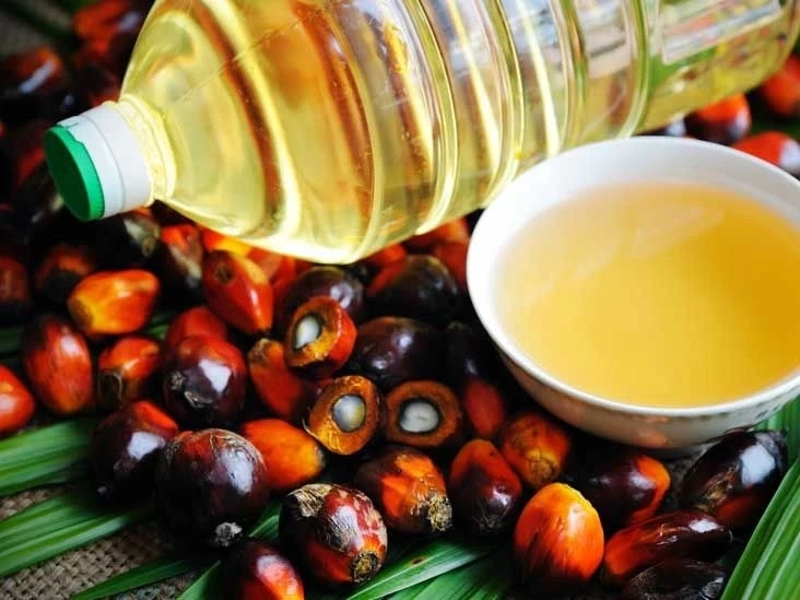 Indonesia Palm Oil Market Share, Growth Analysis, Price Trends, & Industry Report 2024-2032