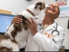 Reasons To See An Emergency Vet