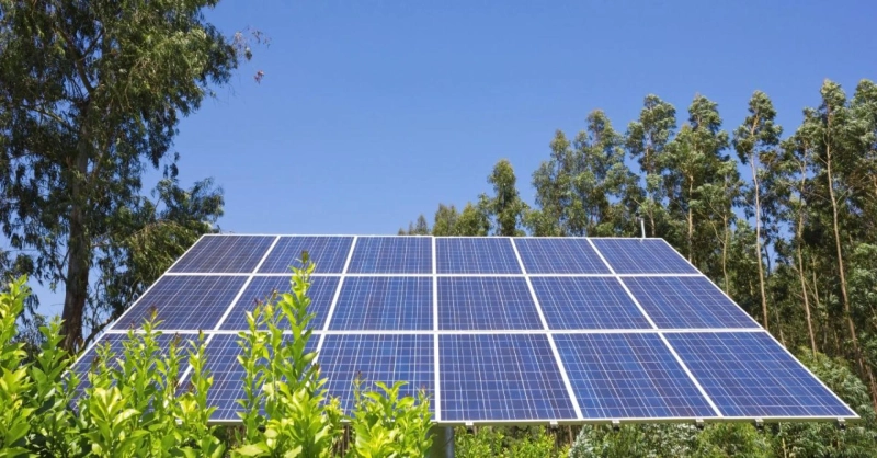 Why you should buy solar panels for your home and office