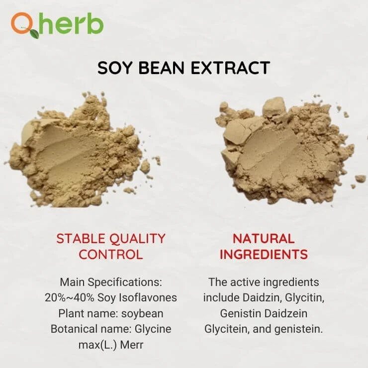 What is soy bean extract
