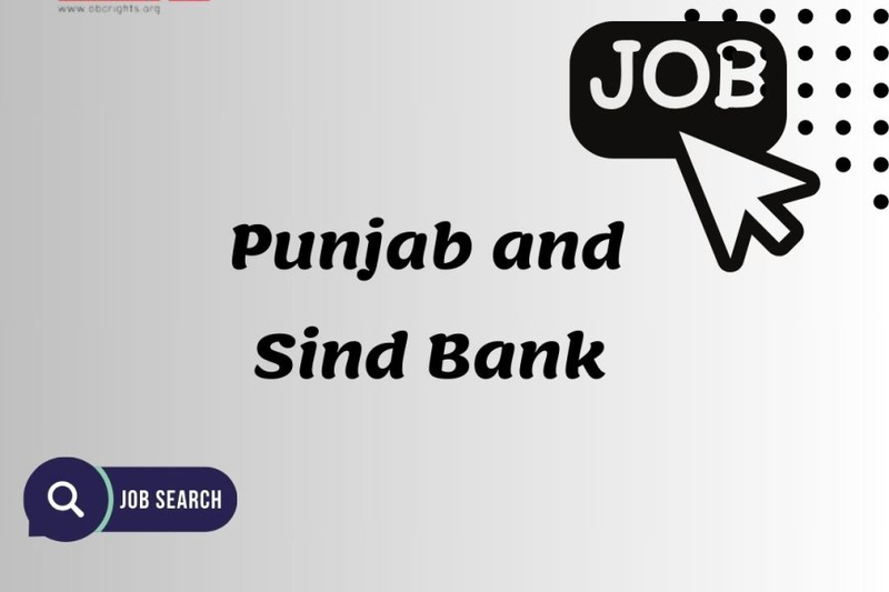 Punjab and Sind Data Analyst recruitment and eligibility