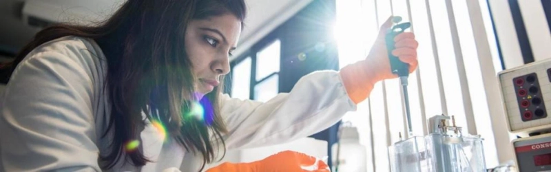 Top 5 engineering branches in 2020