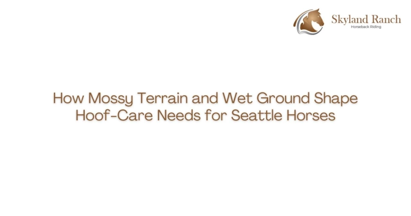 How Mossy Terrain and Wet Ground Shape Hoof-Care Needs for Seattle Horses